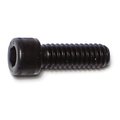 Midwest Fastener 1/4"-20 Socket Head Cap Screw, Plain Steel, 3/4 in Length, 12 PK 60284